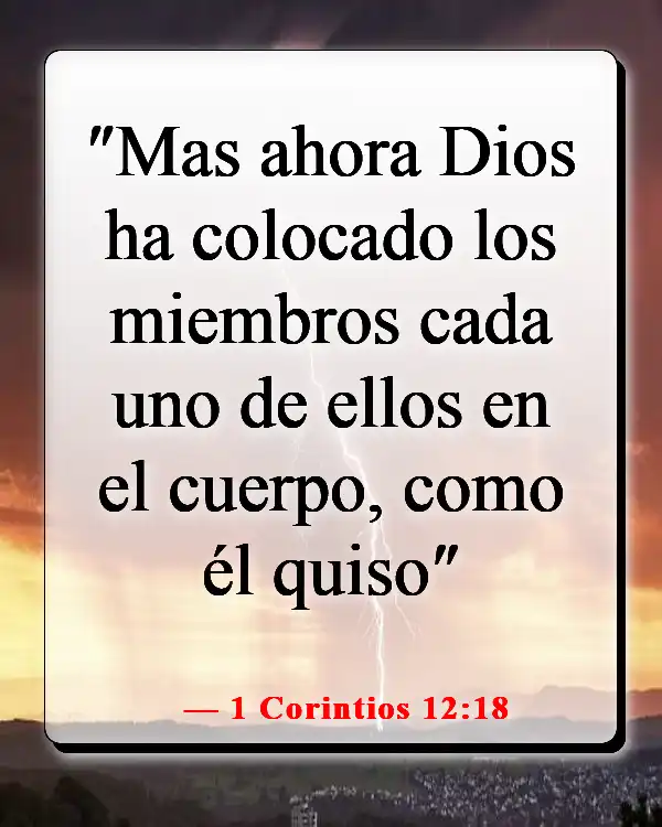Versículos de la Biblia sobre la importancia de cada persona (1 Corintios 12:18)