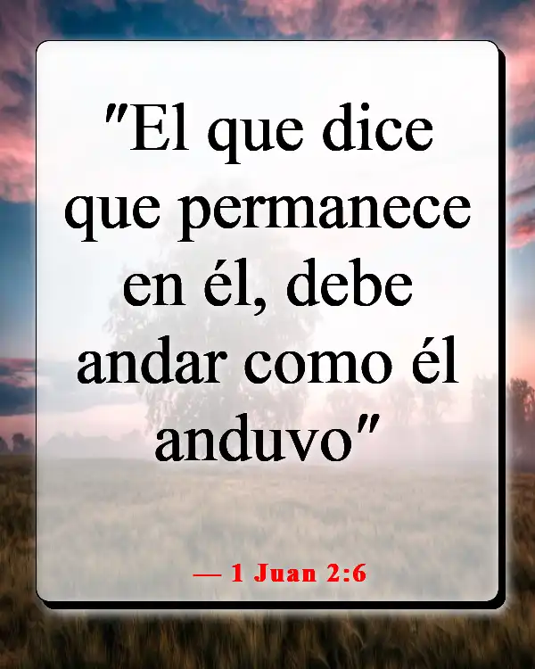 Versículos de la Biblia sobre caminar (1 Juan 2:6)