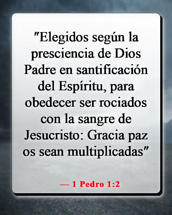 Versículos de la Biblia sobre ser elegido (1 Pedro 1:2)