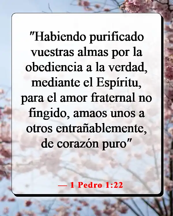 Versículo de la Biblia sobre vestirse de amor (1 Pedro 1:22)