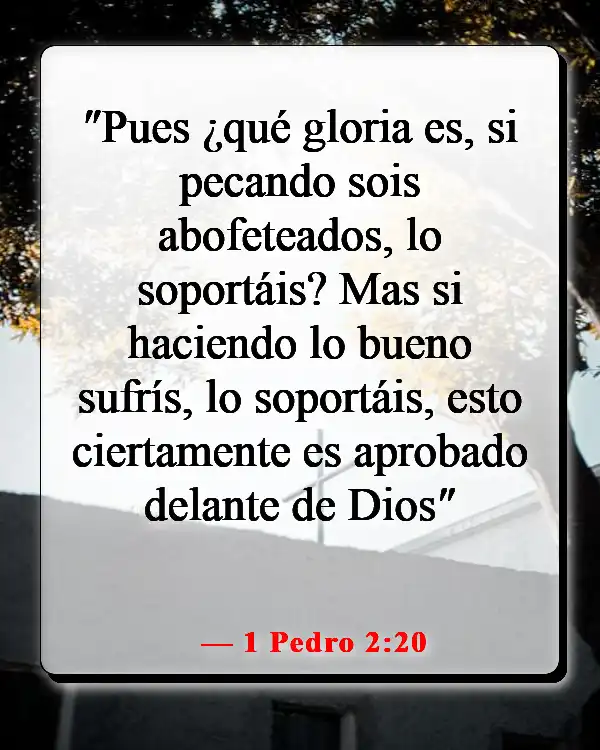Versículo de la Biblia sobre la paciencia y el tiempo de Dios (1 Pedro 2:20)