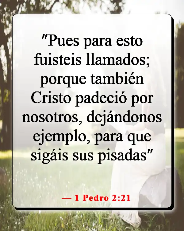 Versículos de la Biblia sobre caminar (1 Pedro 2:21)