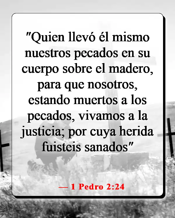 Versículo bíblico para la sanación después de una cirugía (1 Pedro 2:24)