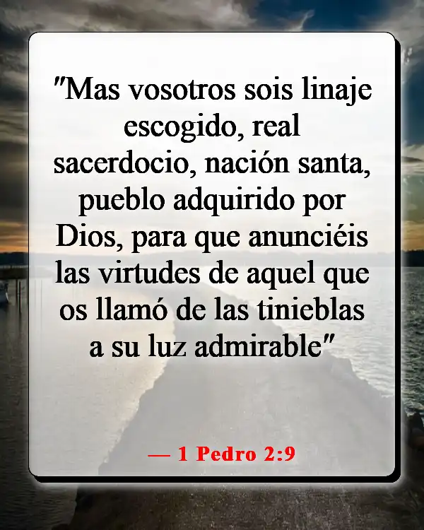 Versículos de la Biblia sobre ser elegido (1 Pedro 2:9)