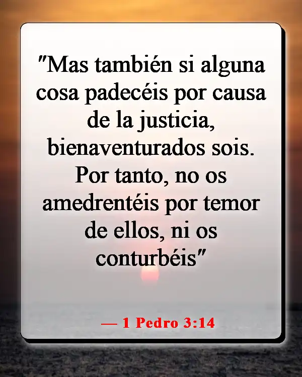 Versículos de la Biblia sobre perder la vida por Dios (1 Pedro 3:14)