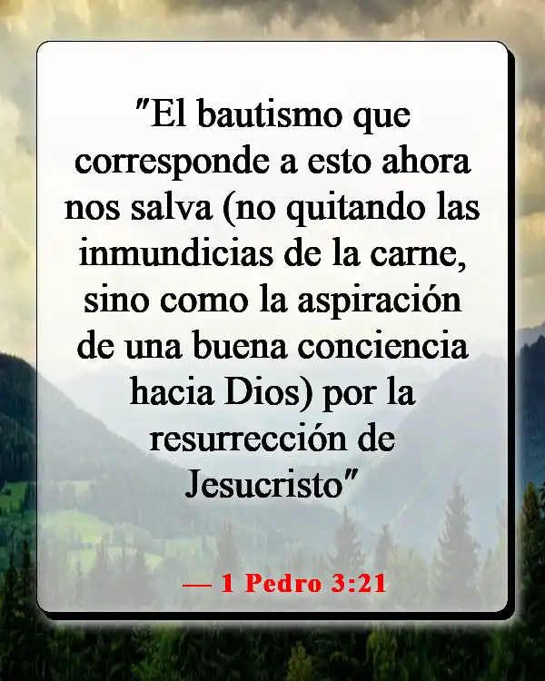 Versículos de la Biblia sobre maltratar a tu esposa (1 Pedro 3:21)