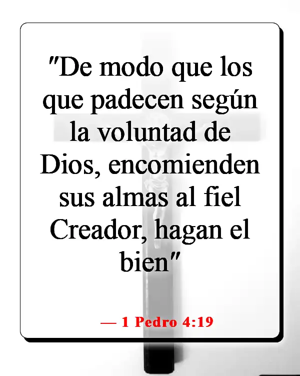 Versículos de la Biblia sobre recordar la fidelidad de Dios (1 Pedro 4:19)