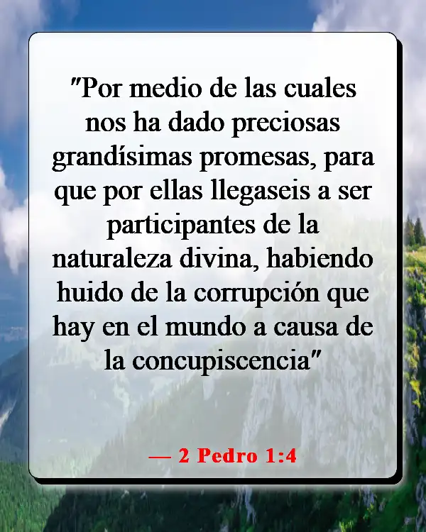 Versículos de la Biblia sobre cómo aplicar las Escrituras a la vida cotidiana (2 Pedro 1:4)