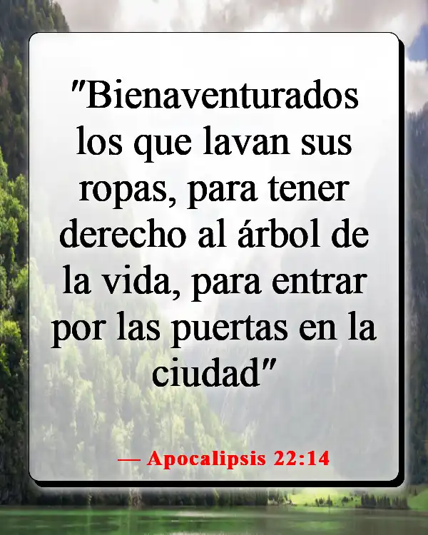 Versículos de la Biblia sobre entrar en el Reino de los Cielos (Apocalipsis 22:14)