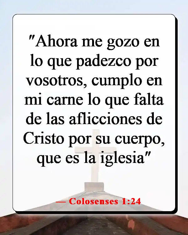 Versículos de la Biblia sobre perder la vida por Dios (Colosenses 1:24)