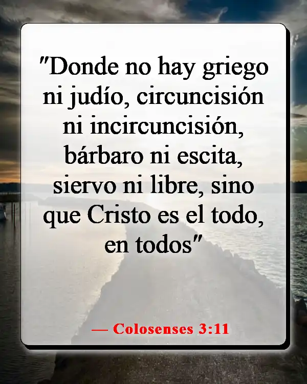 Versículo de la Biblia sobre la equidad y la igualdad (Colosenses 3:11)