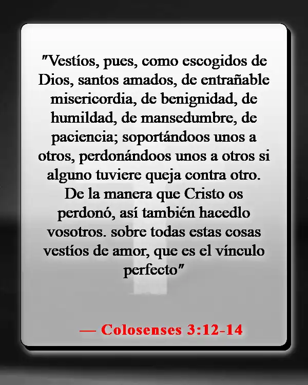 Versículos de la Biblia sobre el respeto por la vida humana (Colosenses 3:12-14)