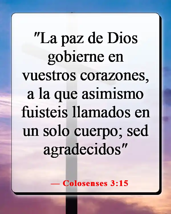 Versículos de la Biblia sobre trabajar juntos como equipo (Colosenses 3:15)