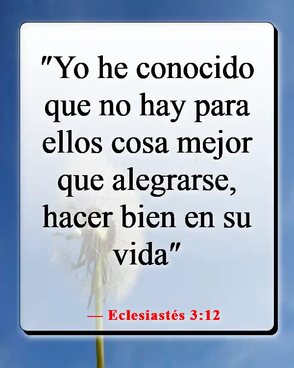 Versículos de la Biblia sobre que Dios quiere que seamos felices (Eclesiastés 3:12)