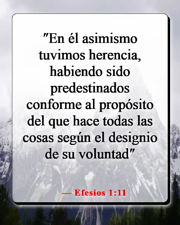 Versículos de la Biblia sobre ser elegido (Efesios 1:11)