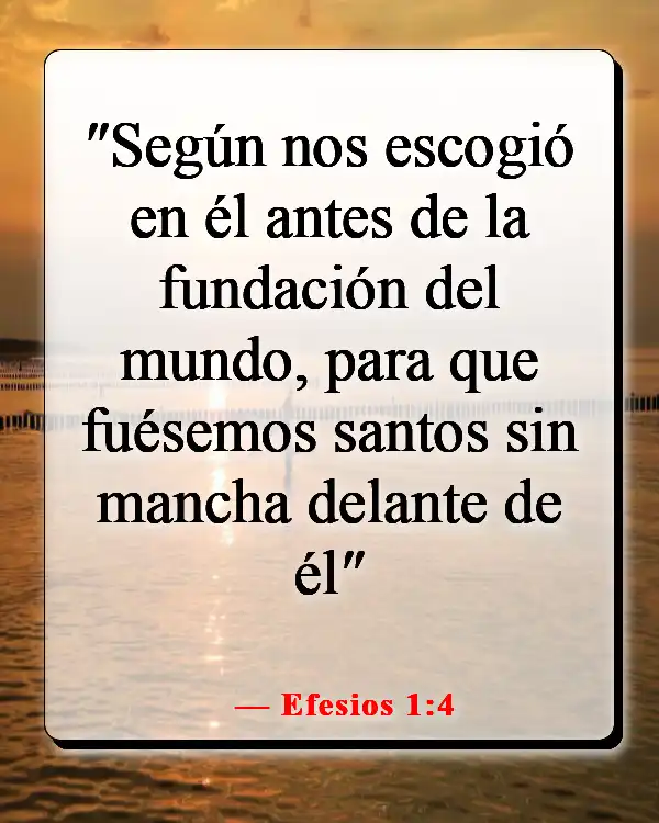 Versículos de la Biblia sobre ser elegido (Efesios 1:4)