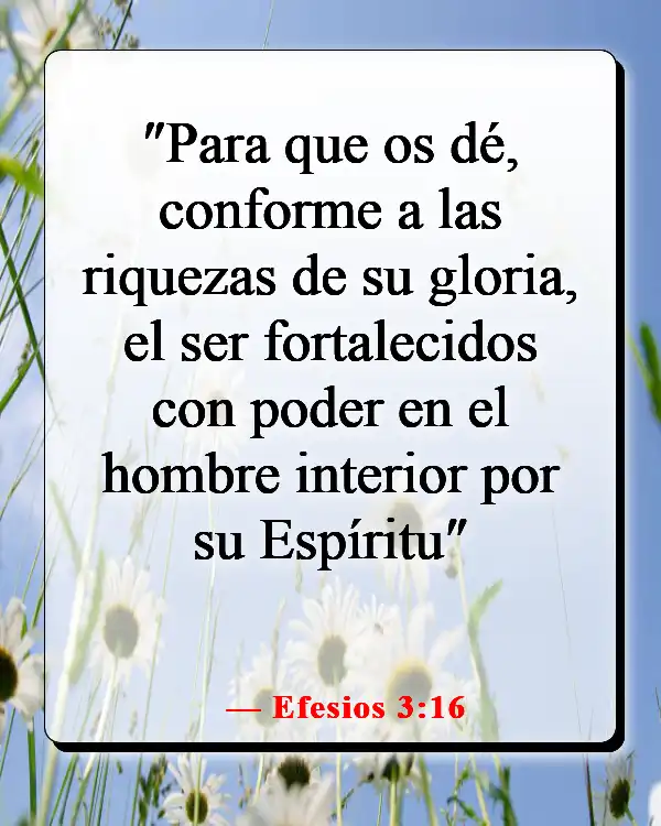Versículos de la Biblia sobre cómo aplicar las Escrituras a la vida cotidiana (Efesios 3:16)