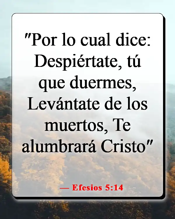 Versículos de la Biblia sobre Jesús siendo la luz (Efesios 5:14)