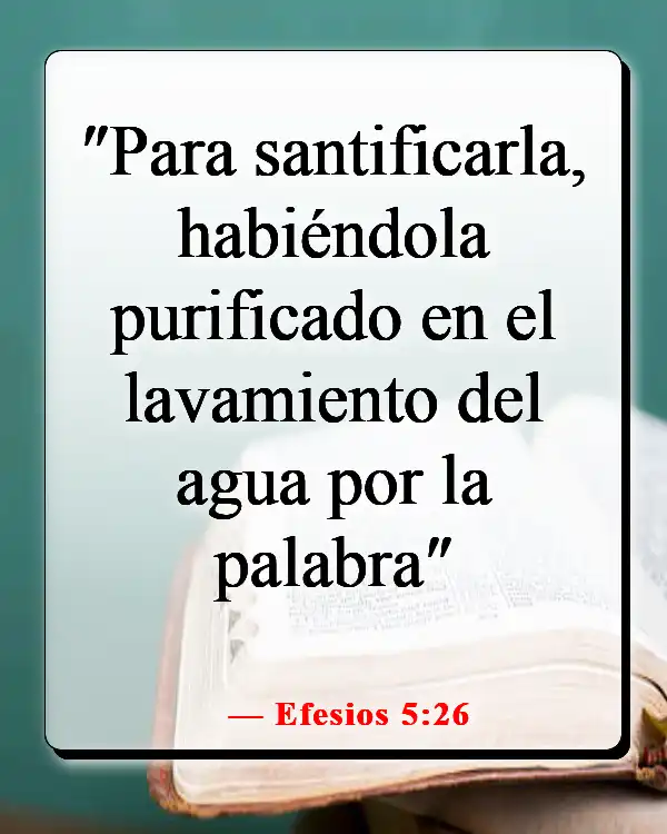 Versículos de la Biblia sobre maltratar a tu esposa (Efesios 5:26)