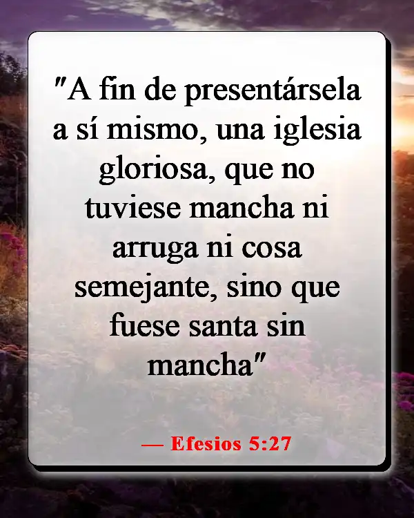 Versículos de la Biblia sobre maltratar a tu esposa (Efesios 5:27)