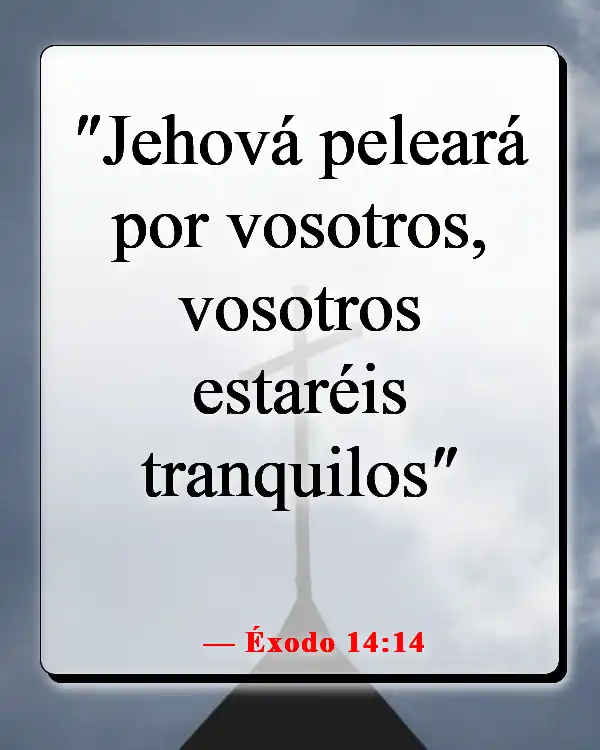 Versículos de la Biblia sobre Dios peleando nuestras batallas (Éxodo 14:14)