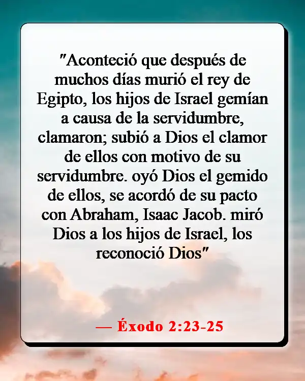 Versículos de la Biblia sobre clamar a Dios por ayuda (Éxodo 2:23-25)
