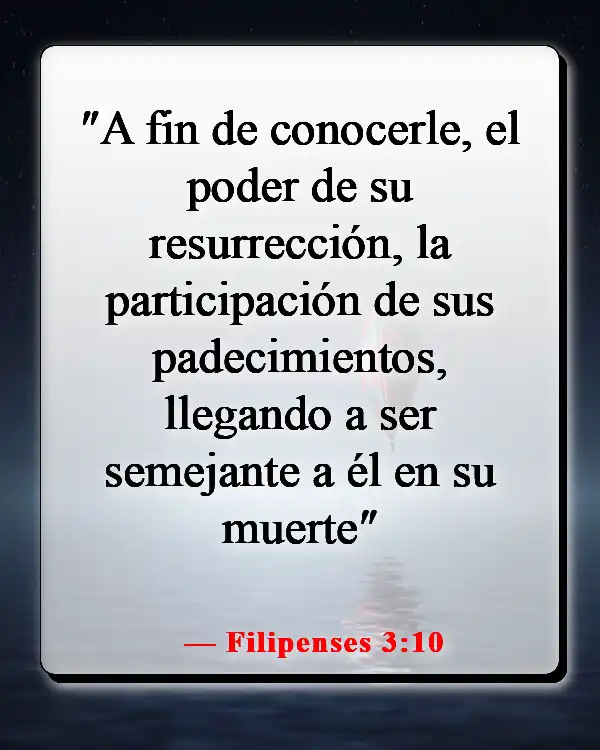 Versículos de la Biblia sobre el sufrimiento de Jesús por nuestros pecados (Filipenses 3:10)