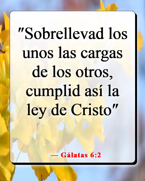 Versículos de la Biblia sobre trabajar juntos como equipo (Gálatas 6:2)