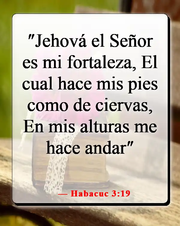 Versículos de la Biblia sobre cuando sientes que quieres rendirte (Habacuc 3:19)