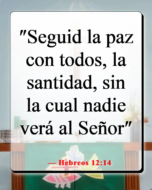 Versículos de la Biblia sobre ser diferente (Hebreos 12:14)