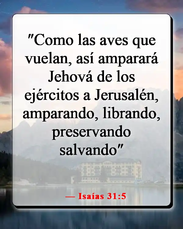 Versículos de la Biblia sobre Dios peleando nuestras batallas (Isaías 31:5)