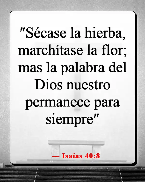 Versículos de la Biblia sobre cómo aplicar las Escrituras a la vida cotidiana (Isaías 40:8)