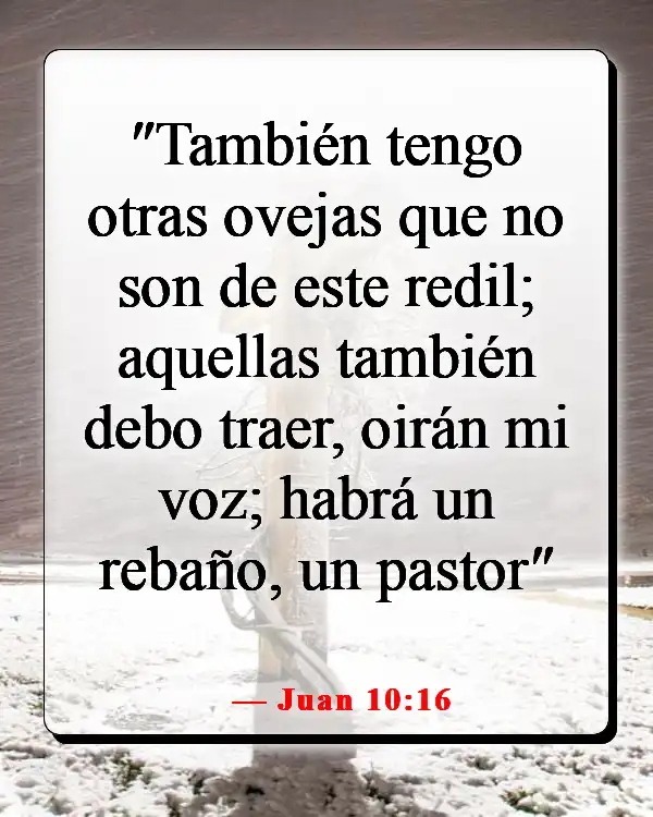 Versículo de la Biblia sobre salvar almas perdidas (Juan 10:16)