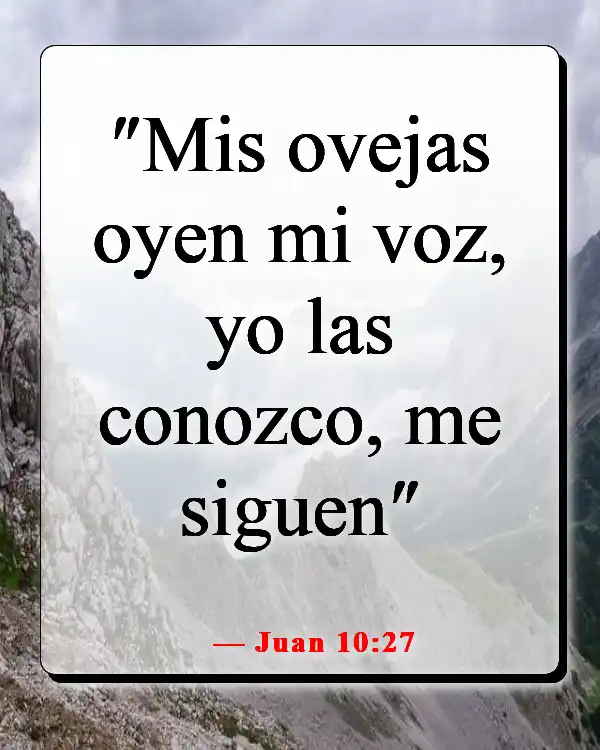 Versículos de la Biblia sobre enamorarse de Jesús (Juan 10:27)