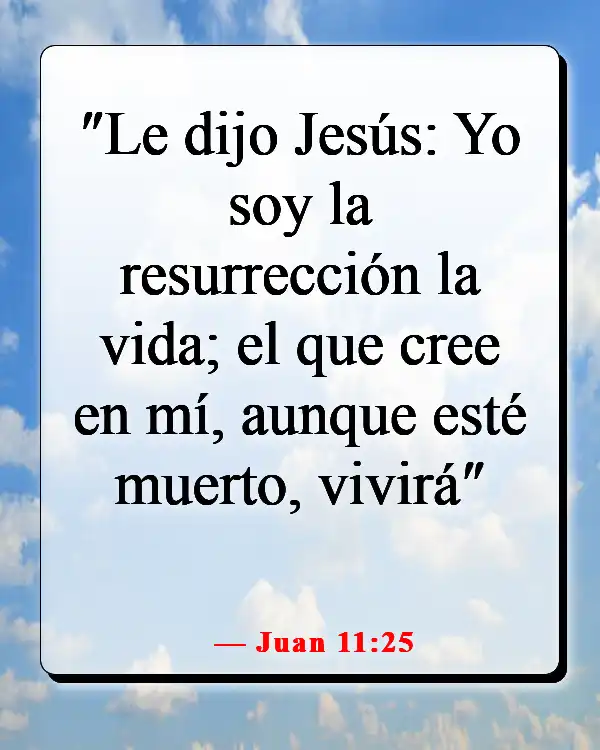 Versículos de la Biblia sobre el cielo y el infierno (Juan 11:25)