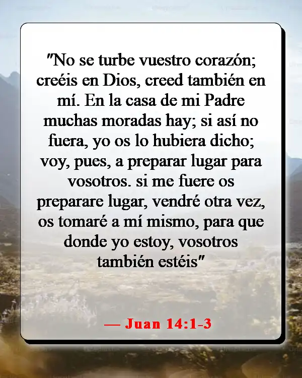 Versículo de la Biblia sobre encontrar paz en la muerte (Juan 14:1-3)