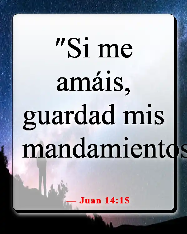 Versículos de la Biblia sobre cómo aplicar las Escrituras a la vida cotidiana (Juan 14:15)