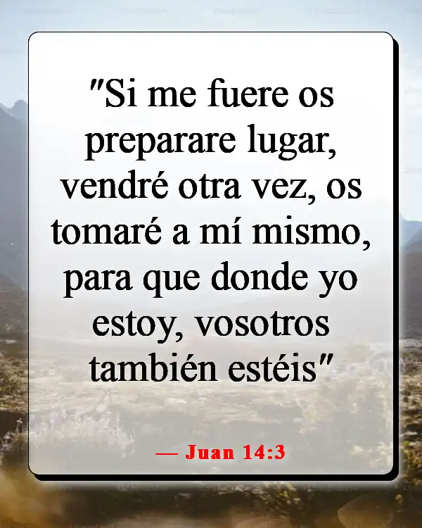 Versículos de la Biblia sobre el cielo y el infierno (Juan 14:3)