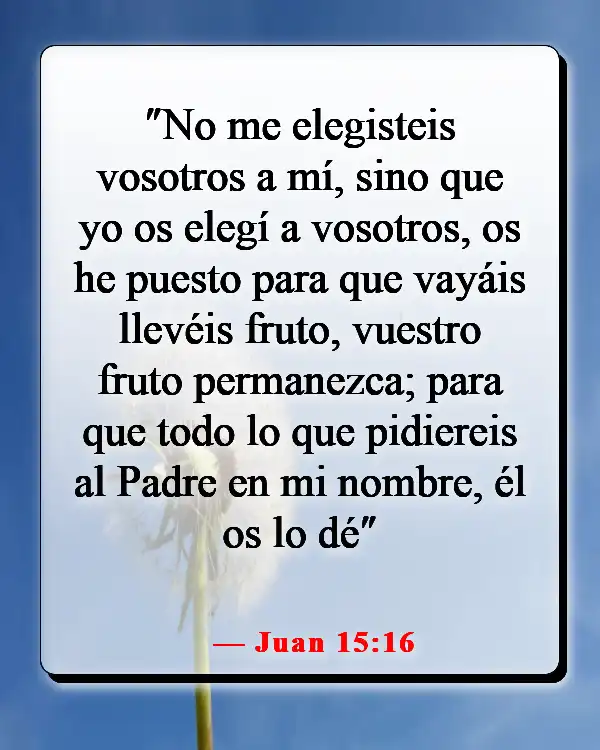 Versículos de la Biblia sobre ser elegido (Juan 15:16)