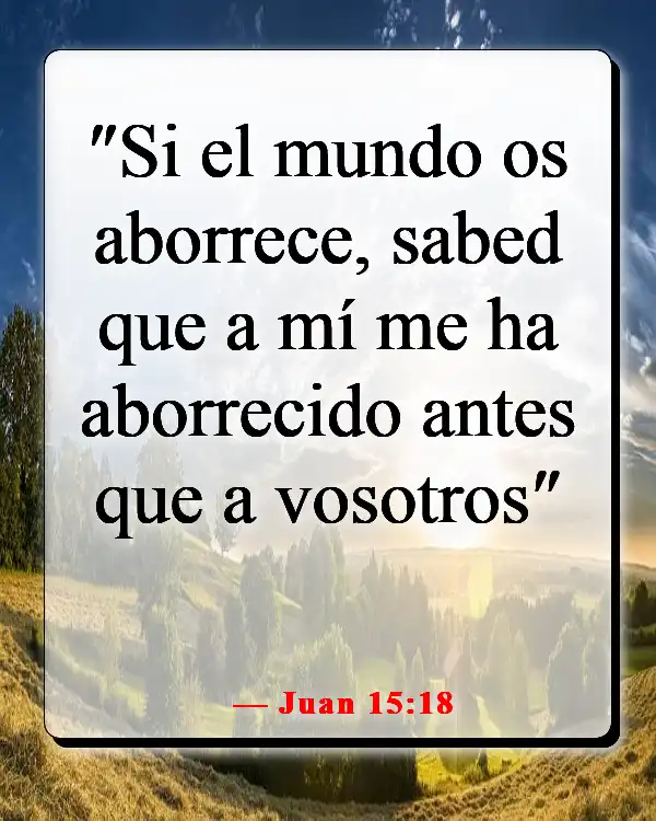 Versículos de la Biblia sobre los que odian (Juan 15:18)