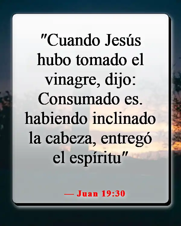 Versículos de la Biblia sobre el sufrimiento de Jesús por nuestros pecados (Juan 19:30)