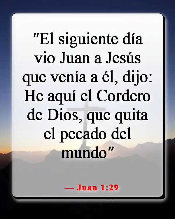 Versículo de la Biblia sobre salvar almas perdidas (Juan 1:29)