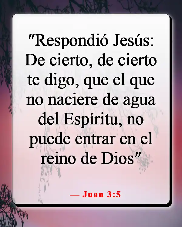 Versículos de la Biblia sobre el Reino de Dios en la Tierra (Juan 3:5)