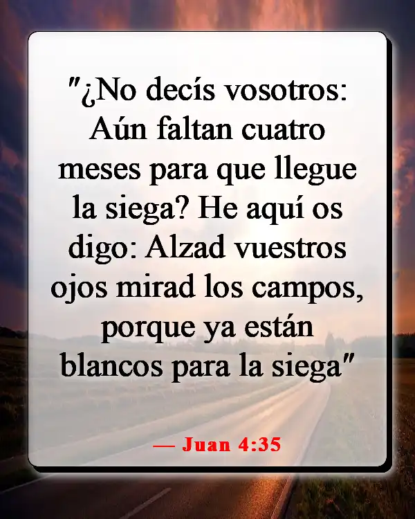 Versículos de la Biblia sobre guiar a otros a Dios (Juan 4:35)