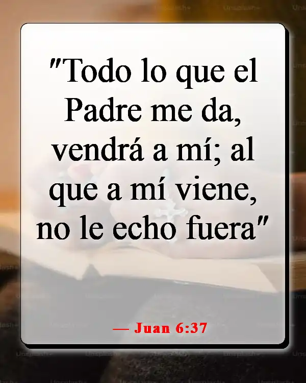 Versículos de la Biblia sobre recordar la fidelidad de Dios (Juan 6:37)
