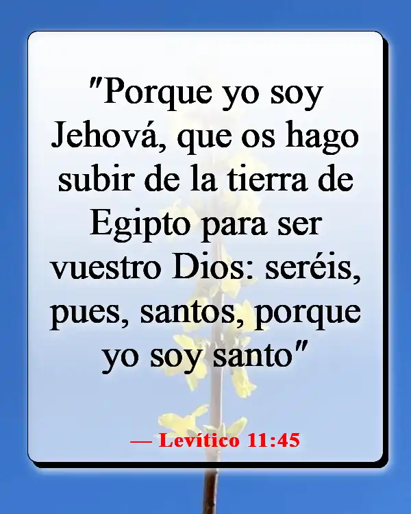 Versículos de la Biblia sobre ser diferente (Levítico 11:45)