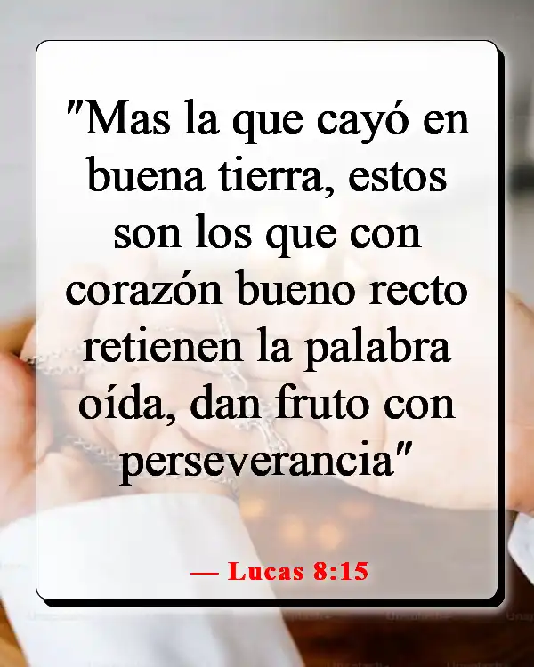 Versículo de la Biblia sobre la paciencia y el tiempo de Dios (Lucas 8:15)