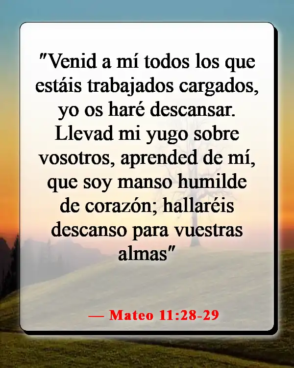 Versículos de la Biblia sobre vivir la vida con propósito (Mateo 11:28-29)