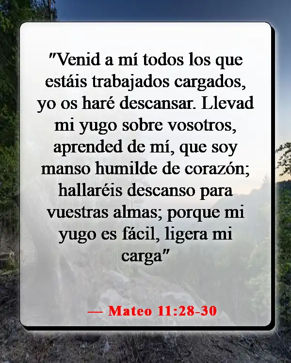 Versículos de la Biblia para orar por tu hija (Mateo 11:28-30)