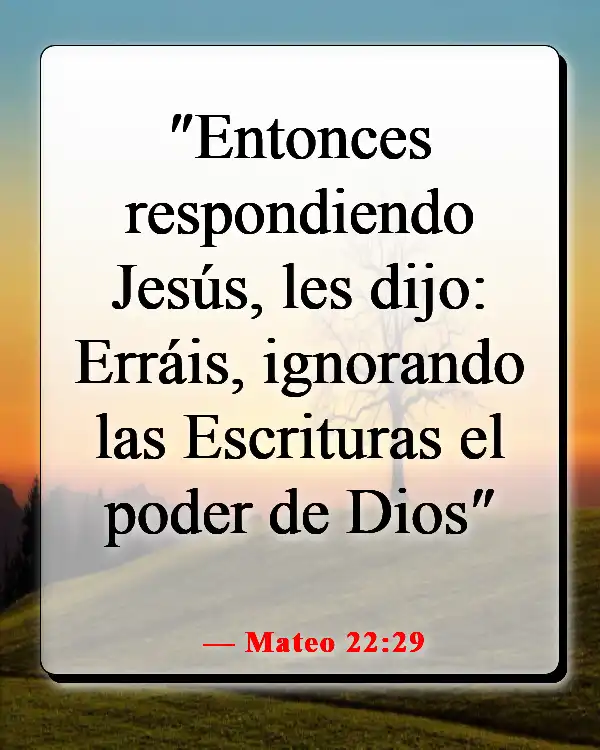 Versículos de la Biblia sobre cómo aplicar las Escrituras a la vida cotidiana (Mateo 22:29)